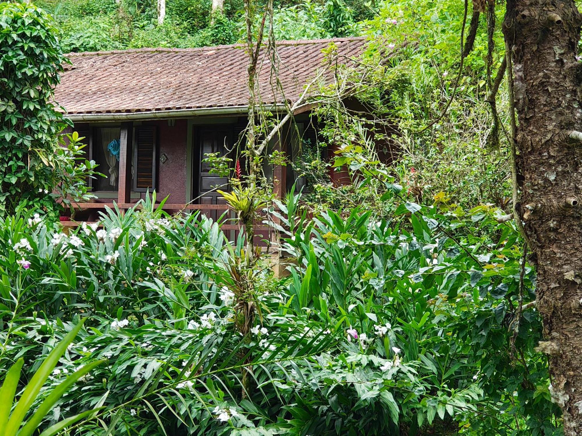 Pousada Romantica Serra Da Mata Penedo  Luaran gambar