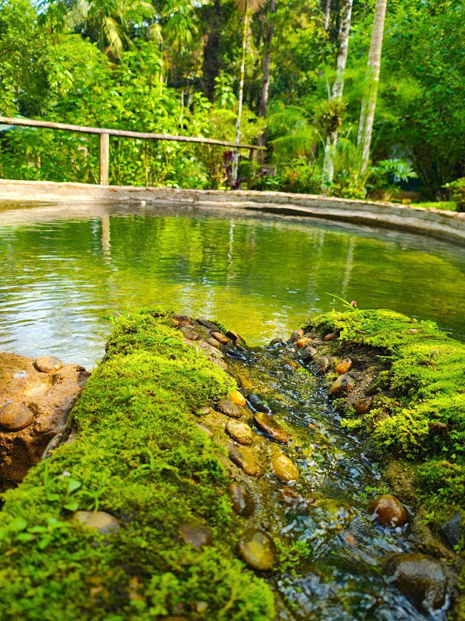 Pousada Romantica Serra Da Mata Penedo  Luaran gambar